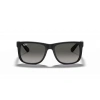 Ray-Ban RB4165 601/8G 55 Unisex Güneş Gözlüğü