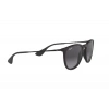 Ray-Ban RB4171 622/8G 54 Unisex Güneş Gözlüğü