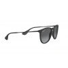 Ray-Ban RB4171 622/T3 54 Unisex Güneş Gözlüğü