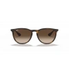 Ray-Ban RB4171 865/13 54 Unisex Güneş Gözlüğü