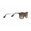 Ray-Ban RB4187 856/13 54 Unisex Güneş Gözlüğü