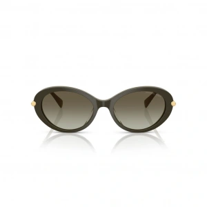 Michael Kors MK2245U 30058G Kadın Güneş Gözlüğü