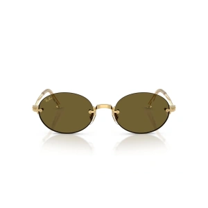 Ray-Ban Asap Rocky RB3929 001/73 54 Unisex Güneş Gözlüğü
