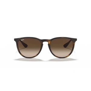 Ray-Ban RB4171 865/13 54 Unisex Güneş Gözlüğü