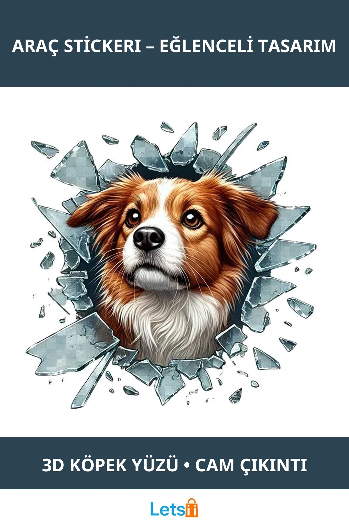 3D Australian Shepherd Köpek Tasarımlı Araç Stickeri