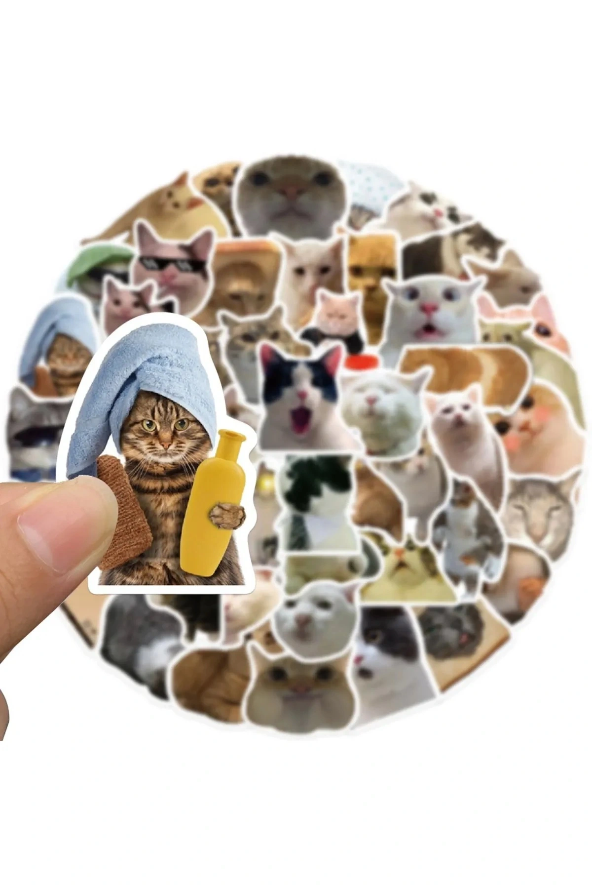 Çılgın Kediler Temalı Yerli Üretim Macbook Notebook Tablet Telefon Sticker Seti