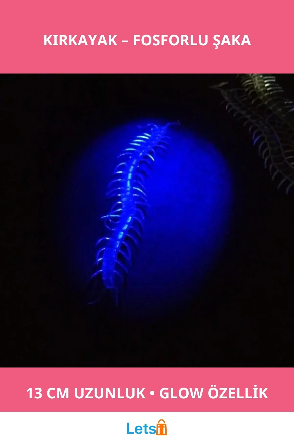 Karanlıkta Parlayan Fosforlu Kırkayak 13 cm