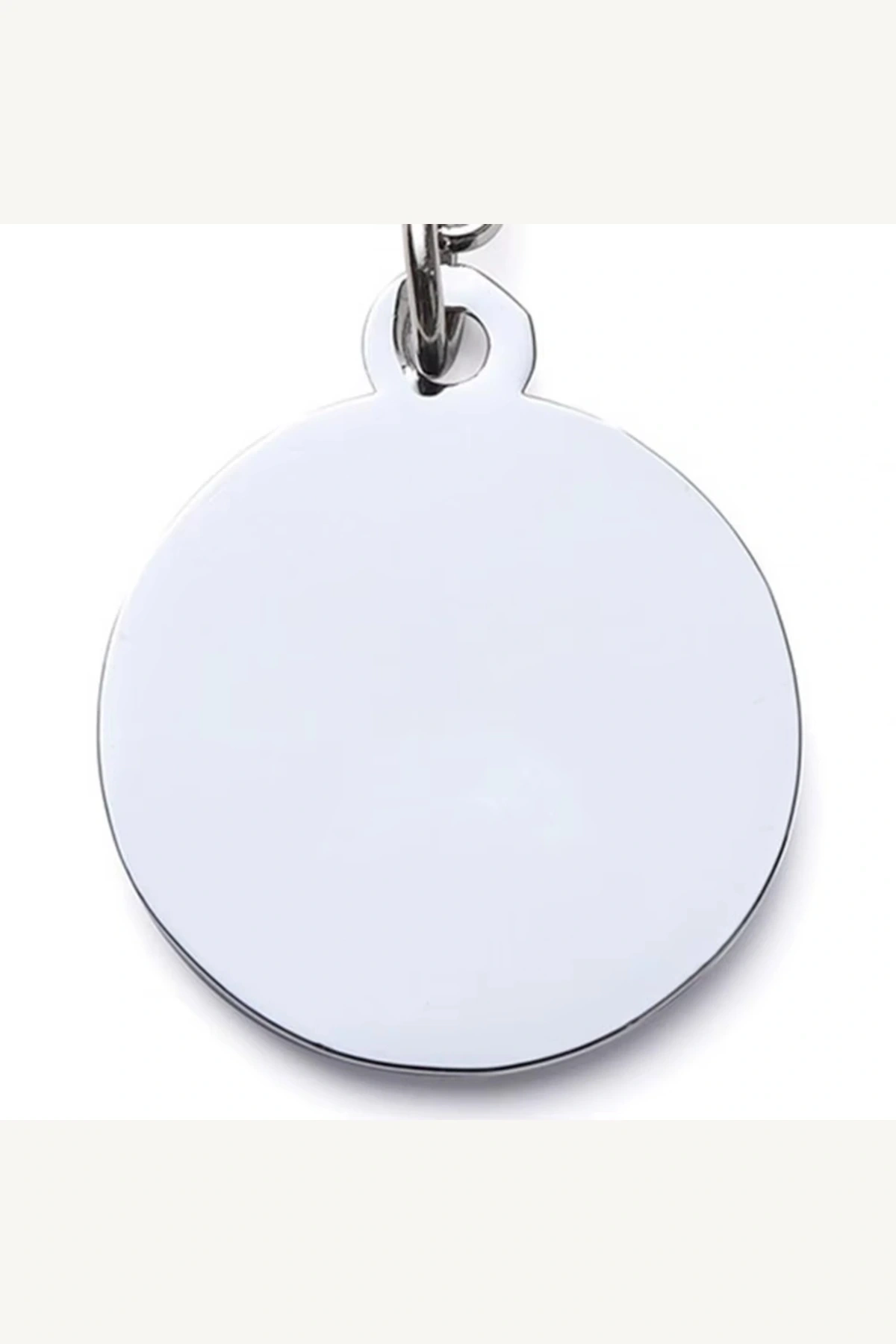 Klipsli Evcil Hayvan Tasma Künyesi İsim Yazılabilir Köpek Kedi Künyesi