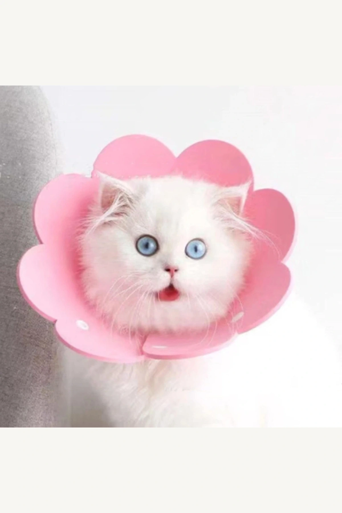 L Boy Keçe Elizabeth Yakalığı Büyük Kedi ve Köpekler İçin Ameliyat Koruyucu Yaka