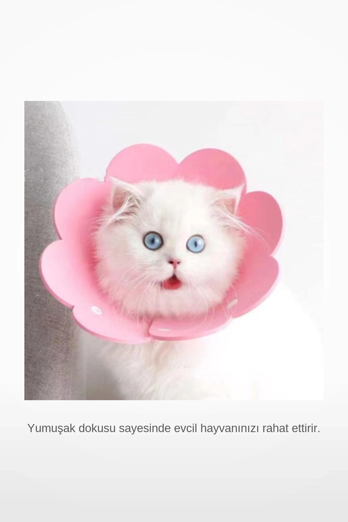 M Beden Keçe Elizabeth Yakalığı Kedi Köpek Koruyucu Boyunluk