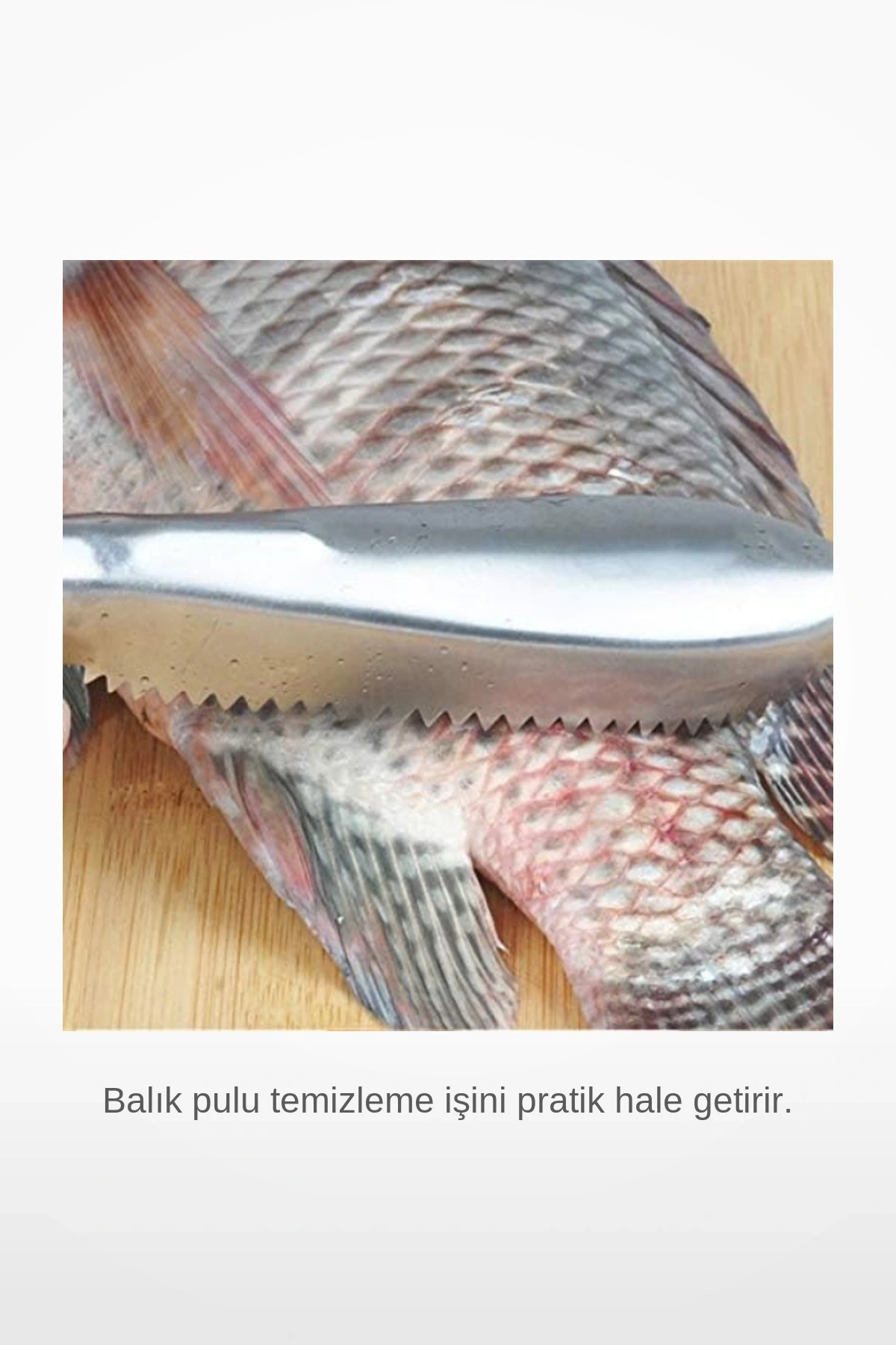 Paslanmaz Çelik Balık Pulu Temizleme Kazıyıcı Aparat