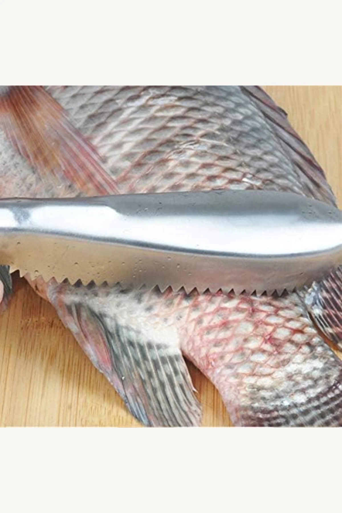 Paslanmaz Çelik Balık Pulu Temizleme Kazıyıcı Aparat