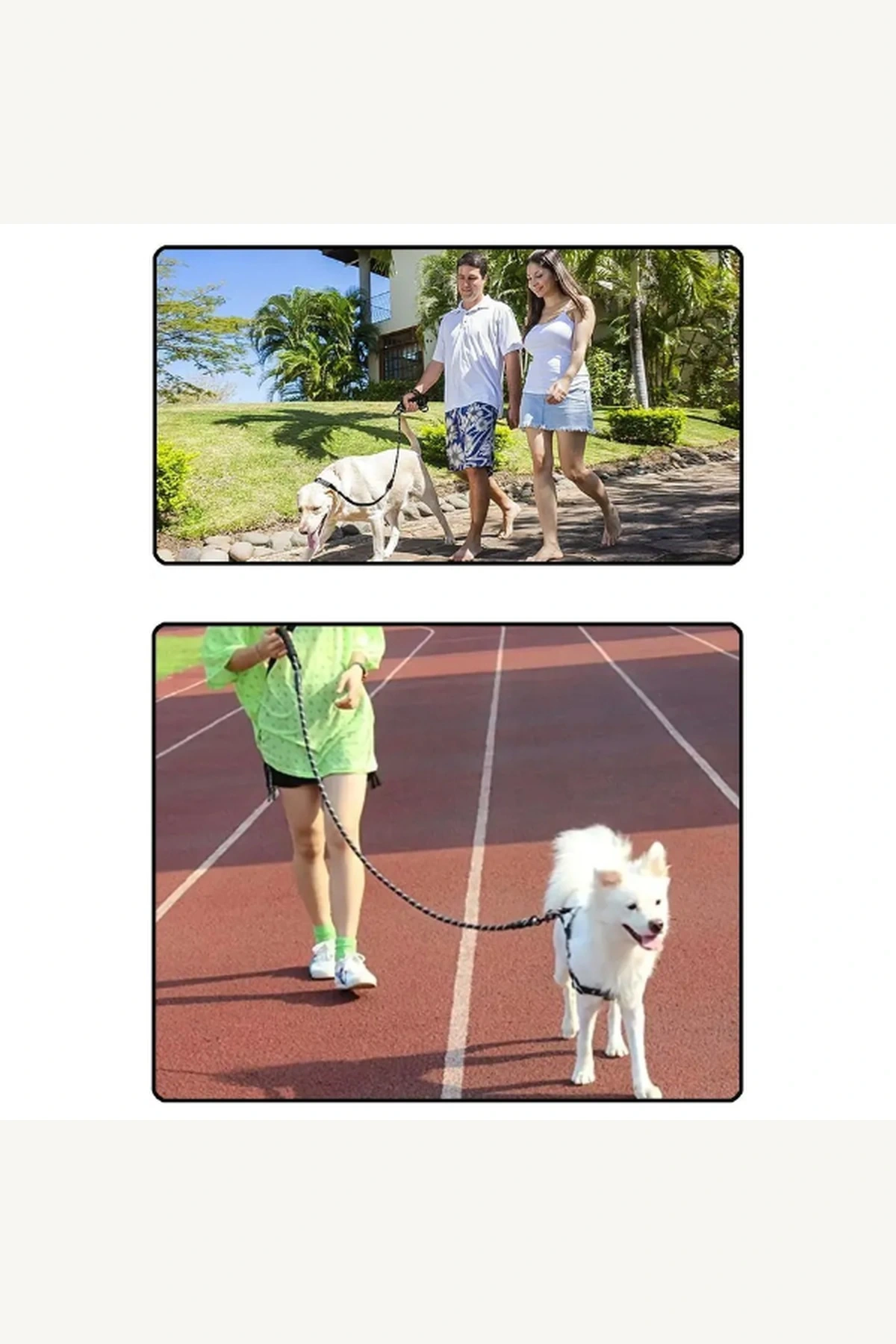 Reflektörlü Fitil Köpek Gezdirme Tasması 10mm x 120cm