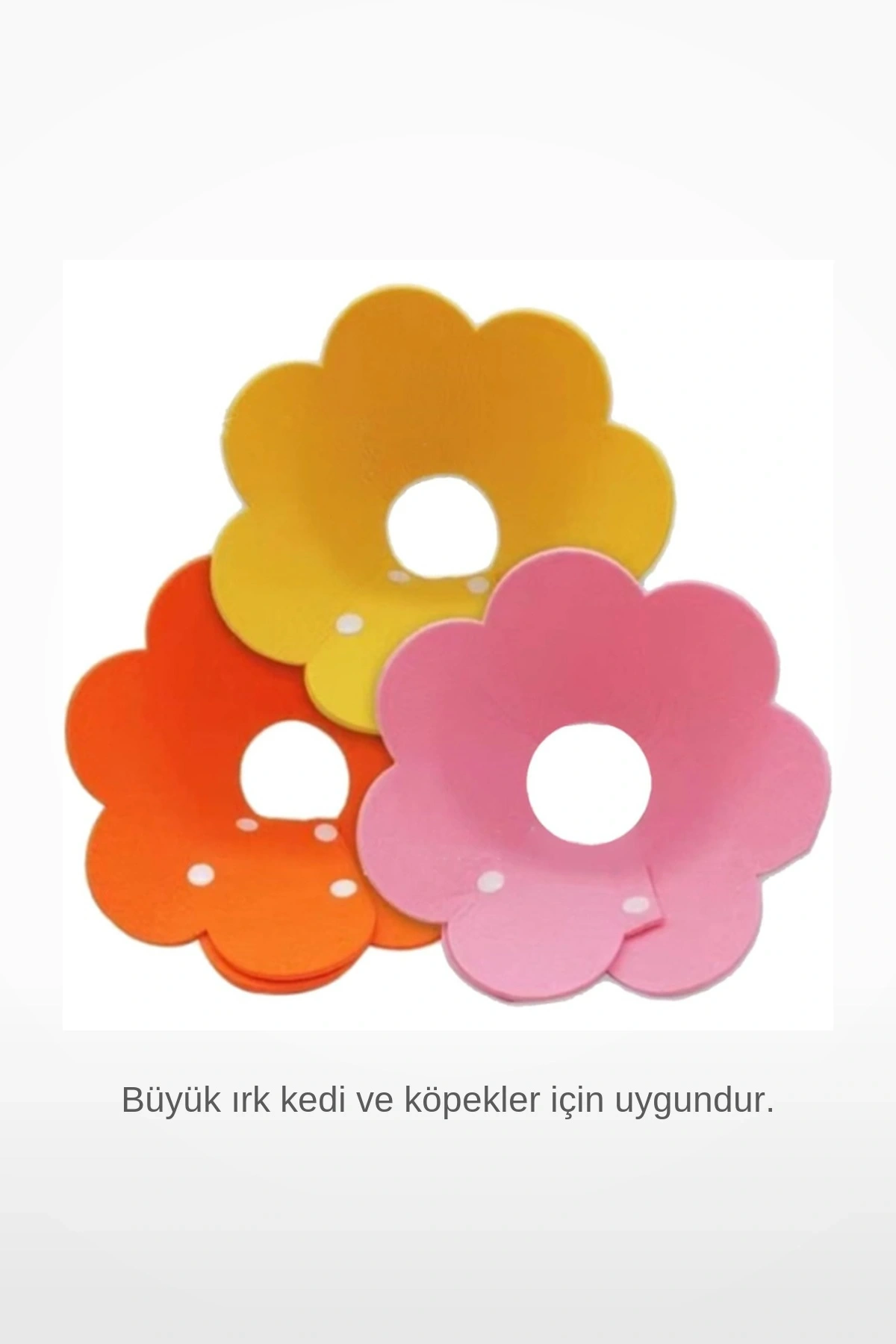 XL Boy Keçe Elizabeth Yakalığı Büyük Irk Kedi Köpek Koruyucu Yaka