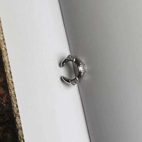 Luxury Kristal Silver Kıkırdak Küpe