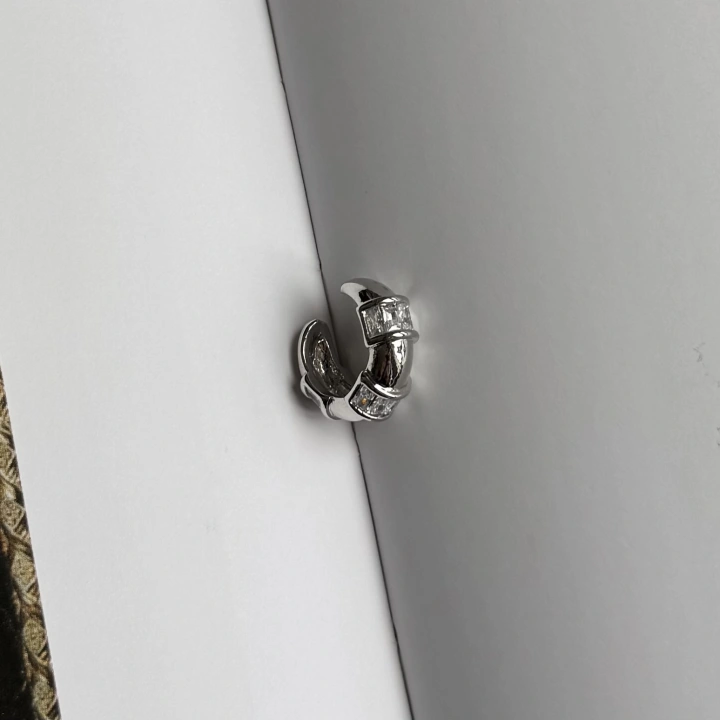 Luxury Kristal Silver Kıkırdak Küpe