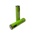 Micron - AAA Boy 1.5V 180 mAh Type-C Şarjlı Pil - 2li Paket