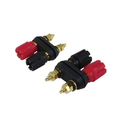 Born Tipi İkili Terminal