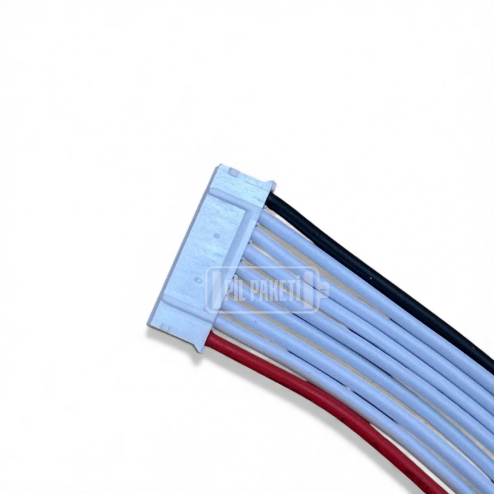 Xr - Lifepo4 Bms - 8s 20a - Balanslı