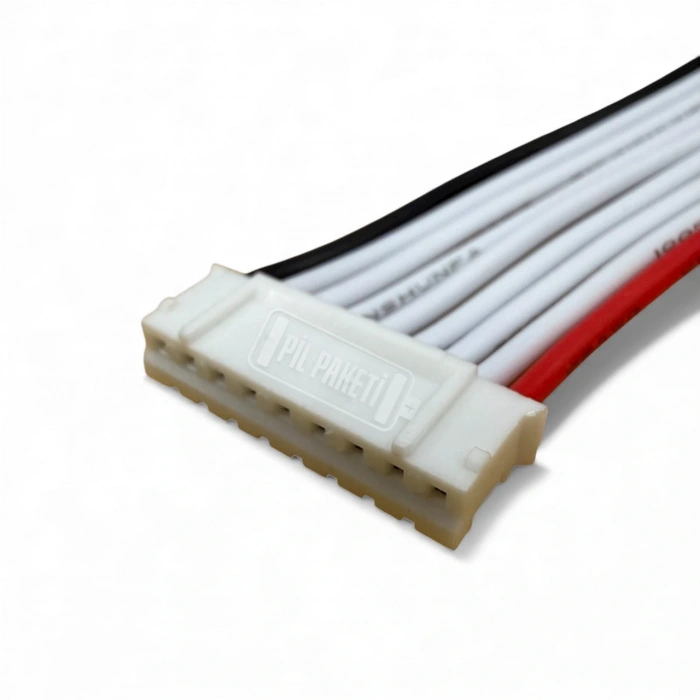 Xr - Lifepo4 Bms - 8s 40a - Balanslı