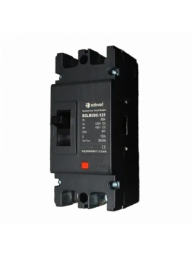 Solinved 80A DC Şalter