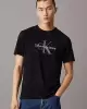 Calvin Klein Erkek Siyah Kısa Kollu T-Shirt