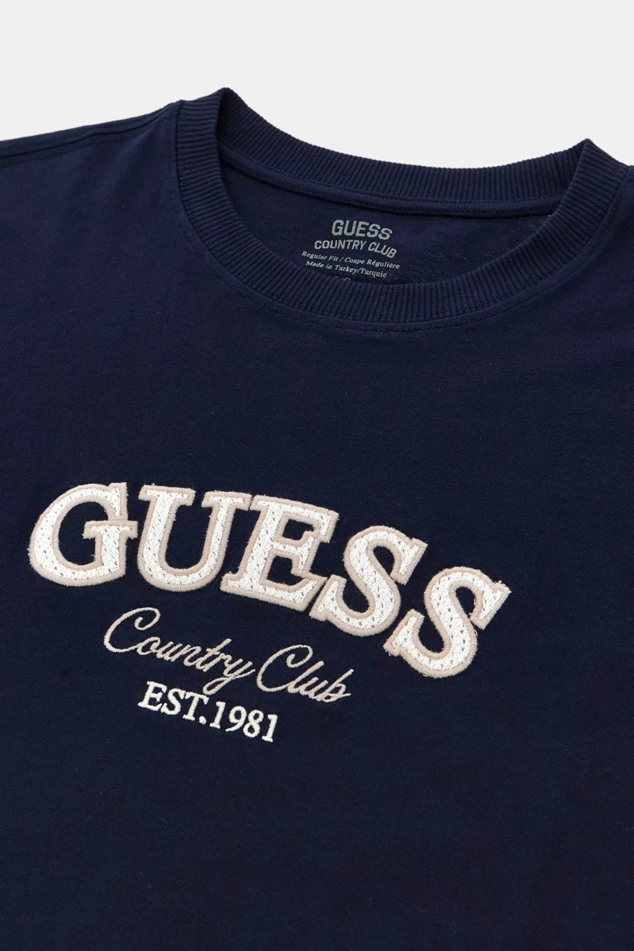 Country Erkek Regular Fit T-Shirt