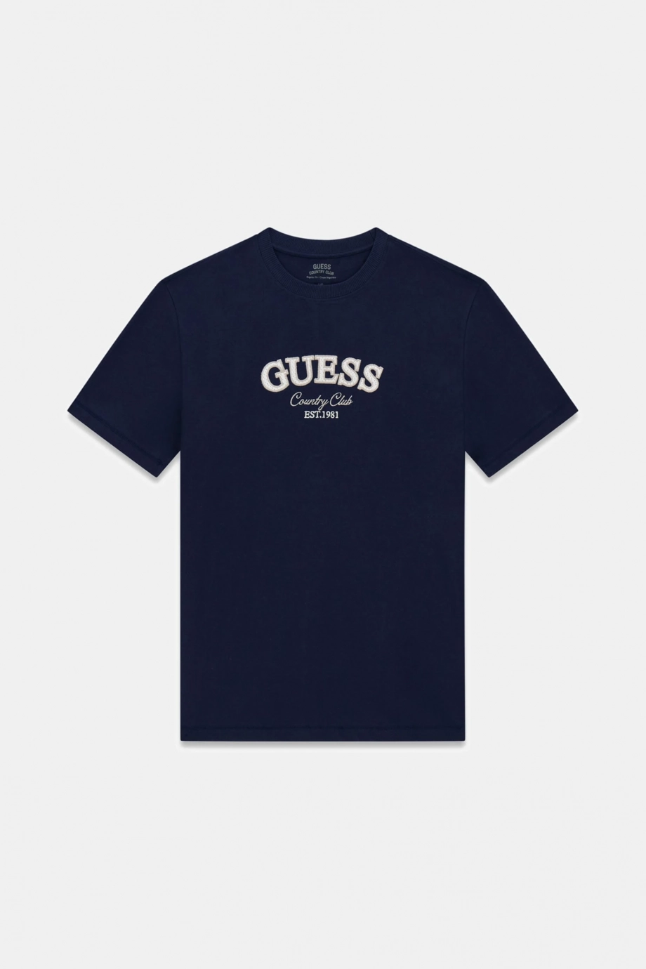 Country Erkek Regular Fit T-Shirt