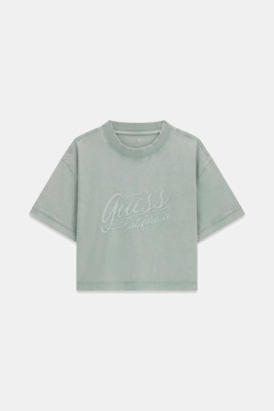 Effect Kadın Regular Fit T-Shirt