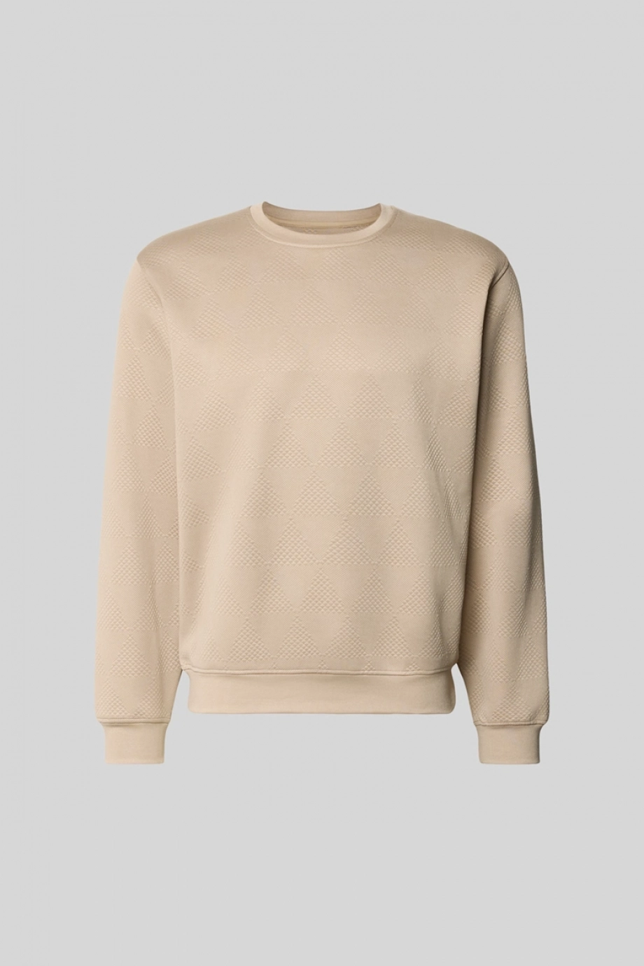Guess Jacqu Erkek Sweatshirt