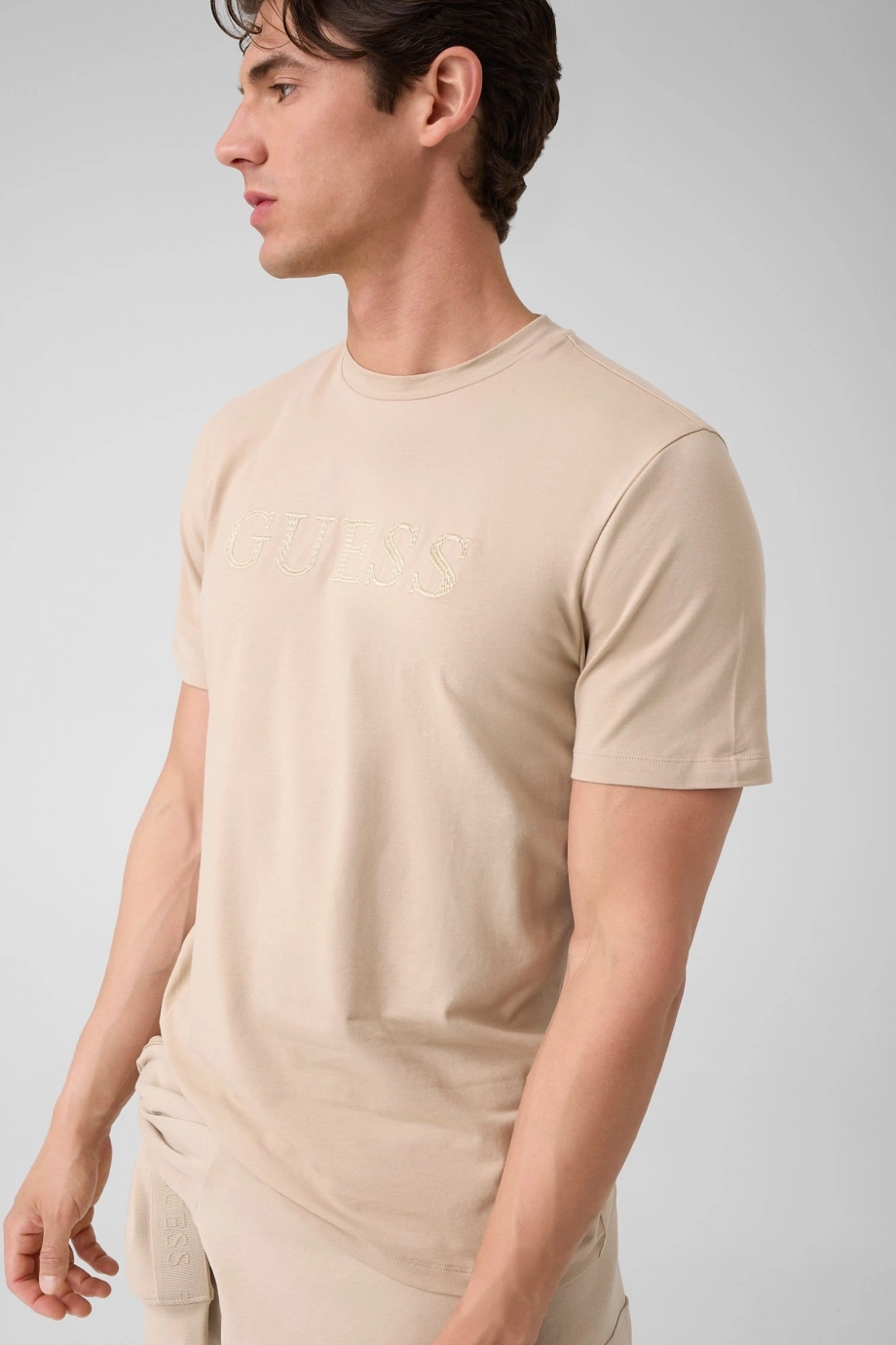 Guess Prat Erkek Aktif Regular Fit T-Shirt