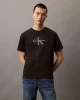 Calvin Klein Jeans Graphic Tees Erkek Siyah T-shirt LV04RB862G-UB1