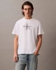 Calvin Klein Jeans Graphic Tees Erkek T-shirt   LV04RB862G-YAA