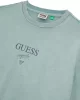 Guess Go Prınted Baker Logo Tee Erkek Gri T-Shirt M5GI69K8FQ4-F8NL