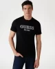 Guess Ss Cn Guess Logo Tee Erkek Siyah T-Shirt M5GI07I3Z14-JBLK