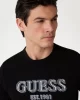 Guess Ss Cn Guess Logo Tee Erkek Siyah T-Shirt M5GI07I3Z14-JBLK