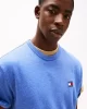 Tommy Jeans Erkek Mavi  Badge T-Shirt