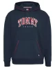 Tommy Jeans Erkek Lacivert Relaxed Baskılı Sweats