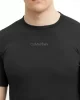 Calvin Klein Erkek Siyah Logolu T-Shirt