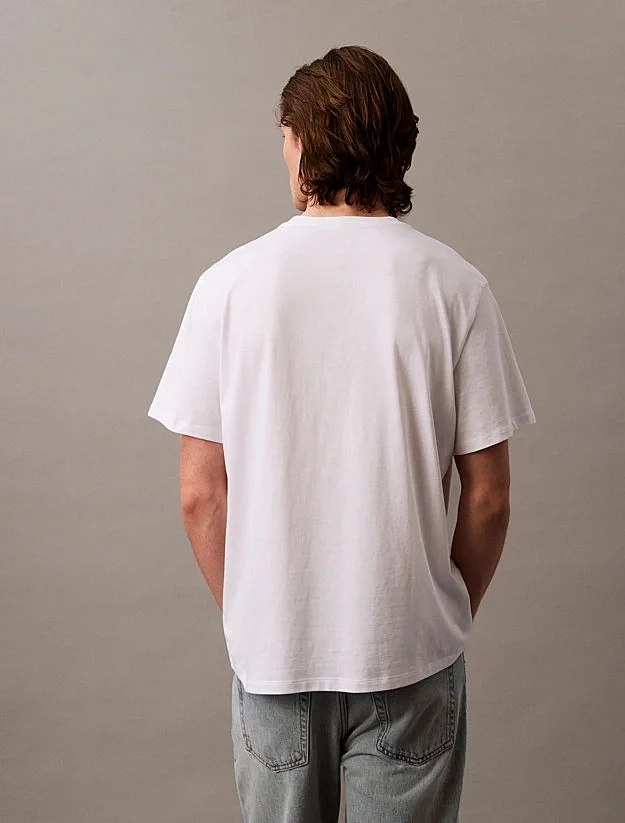 Calvin Klein Graphic Tees Erkek  T-shirt LV04RB862G-YAA