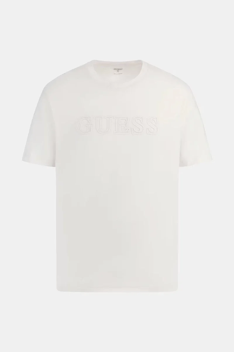 Guess Alphy Erkek Krem Aktif Regular Fit T-Shirt Z2YI11J1314-SCFY