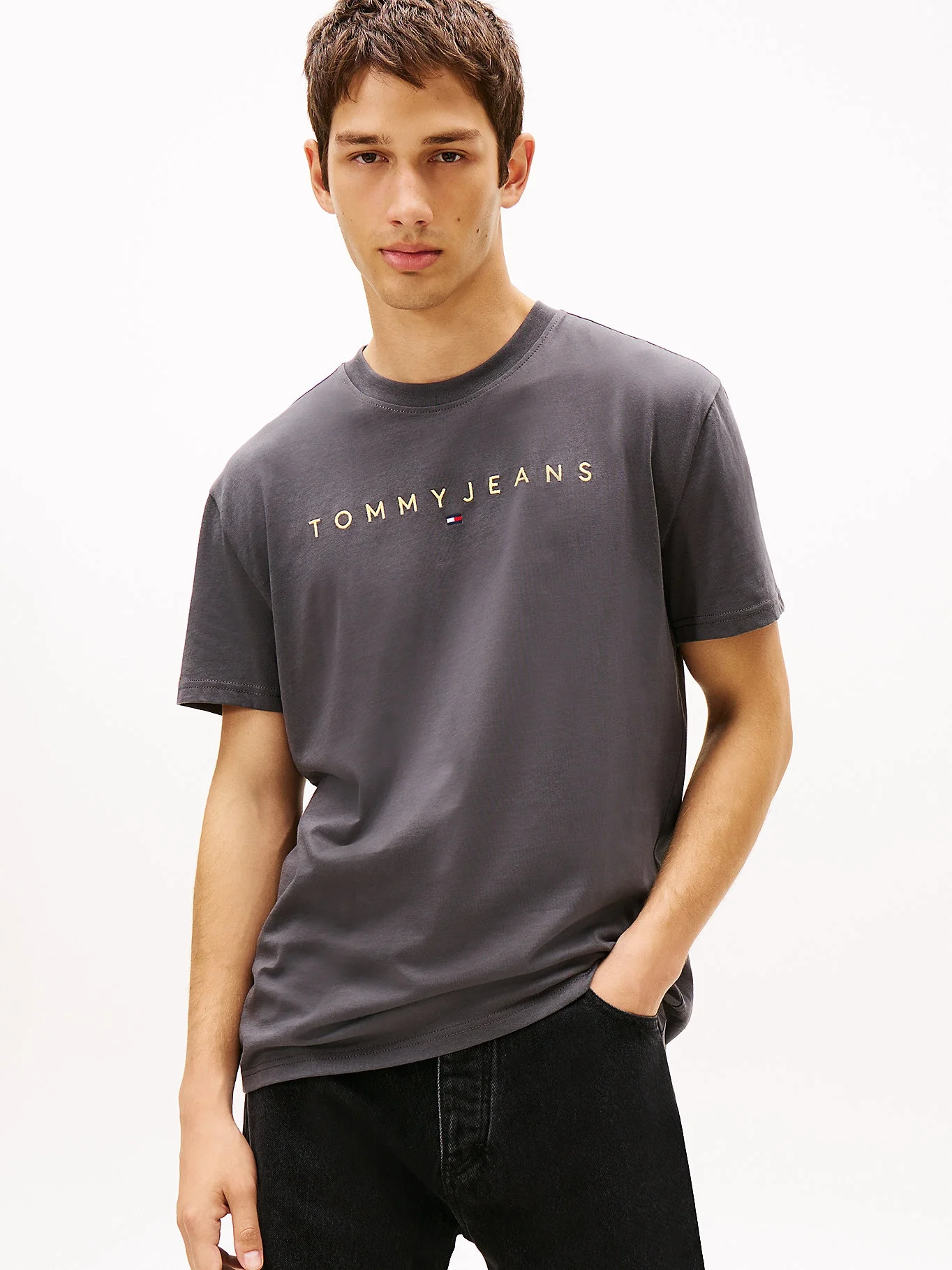 Tommy Hilfiger Erkek Gri Regular Fit T-Shirt