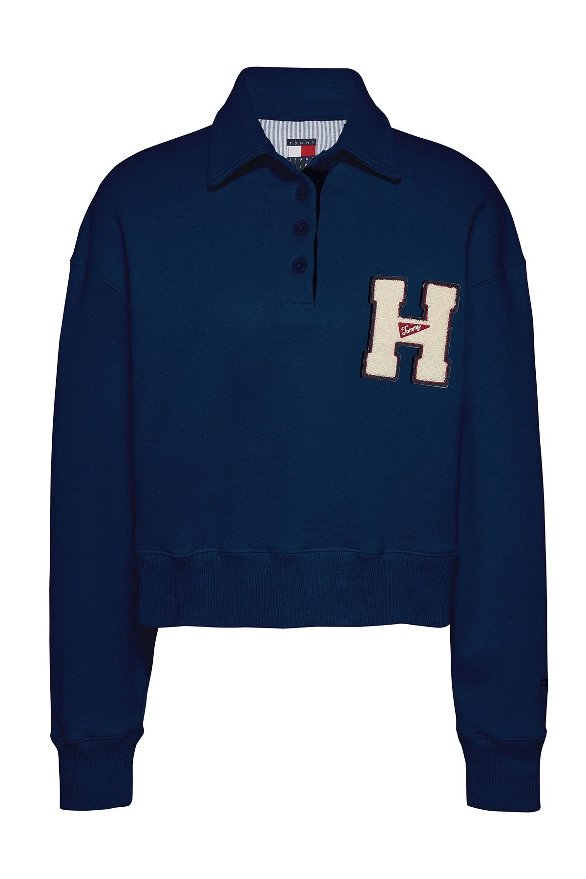 Tommy Hilfiger TJW H GRAPHIC HWK POLO Erkek mavi Sweatshirt DW0DW20537DYY