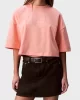 Calvin Klein Jeans D1 Collection Kadın Turuncu T-shirt LV047C202G-VDW