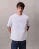 Calvin Klein Jeans Global Erkek Sarı T-shirt LV04RB295G-RM9