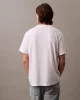 CK Jeans Graphic Tees Erkek  T-shirt LV04RB862G-YAA