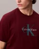 Calvin Klein Jeans SS Hero Monologo Tee 20s Erkek Kırmızı T-shirt LV04RB862G-VLP