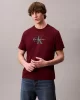 Calvin Klein Jeans SS Hero Monologo Tee 20s Erkek Kırmızı T-shirt LV04RB862G-VLP
