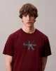 Calvin Klein Jeans SS Hero Monologo Tee 20s Erkek Kırmızı T-shirt LV04RB862G-VLP