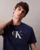 Calvin Klein Jeans SS Hero Monologo Tee 20s Erkek Mavi T-shirt LV04RB862G-C3I